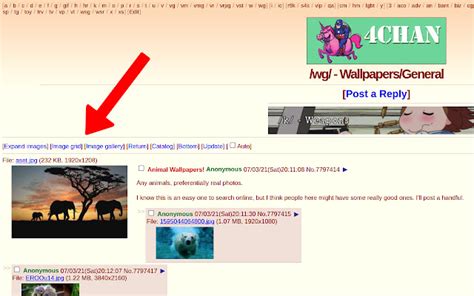 4chan t archive|Category:4chan .